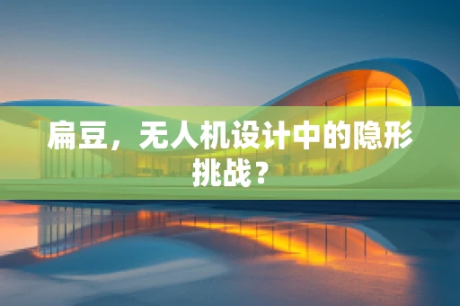 扁豆，无人机设计中的隐形挑战？
