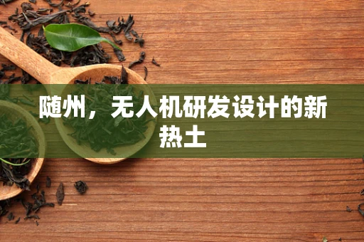 随州，无人机研发设计的新热土