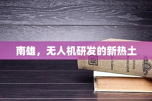 南雄，无人机研发的新热土