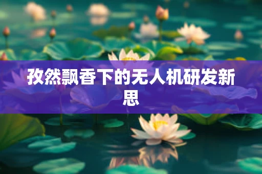 孜然飘香下的无人机研发新思