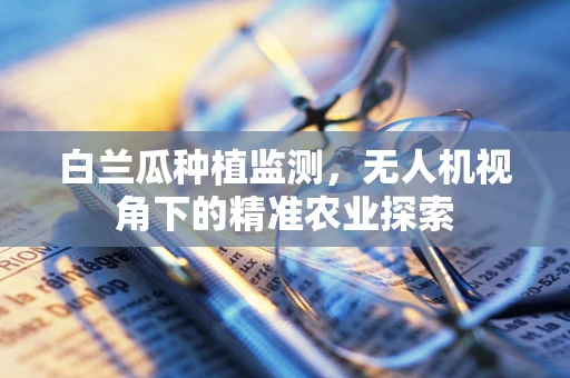 白兰瓜种植监测，无人机视角下的精准农业探索