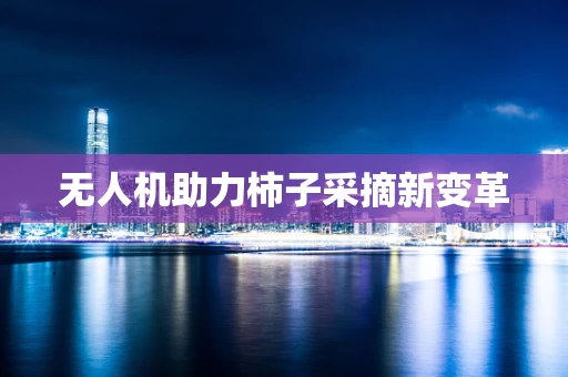 无人机助力柿子采摘新变革