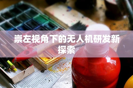 崇左视角下的无人机研发新探索