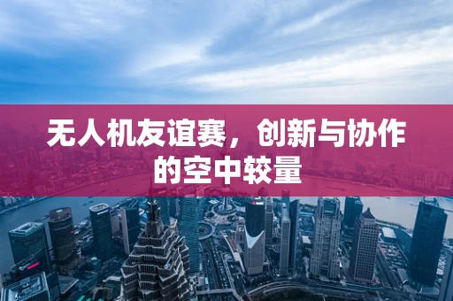 无人机友谊赛，创新与协作的空中较量
