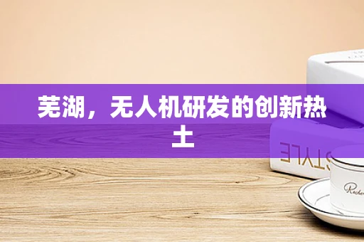 芜湖，无人机研发的创新热土