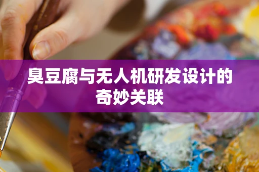 臭豆腐与无人机研发设计的奇妙关联