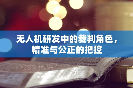 无人机研发中的裁判角色，精准与公正的把控