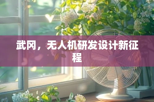 武冈，无人机研发设计新征程