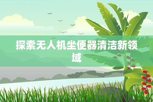探索无人机坐便器清洁新领域