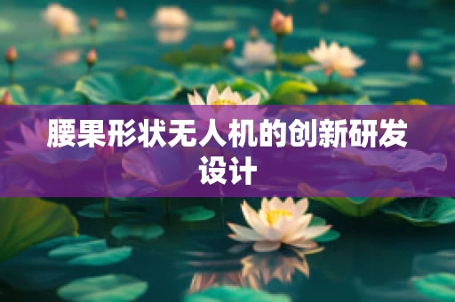 腰果形状无人机的创新研发设计