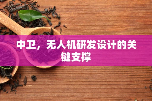 中卫，无人机研发设计的关键支撑