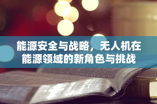 能源安全与战略，无人机在能源领域的新角色与挑战
