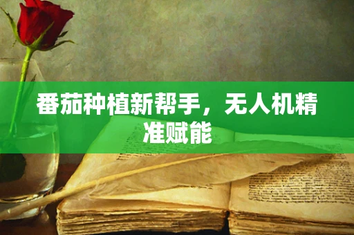 番茄种植新帮手，无人机精准赋能