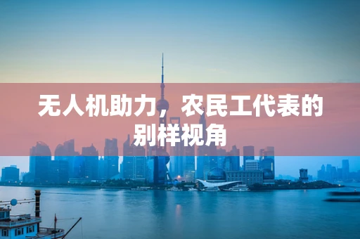 无人机助力，农民工代表的别样视角
