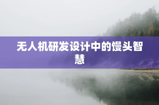 无人机研发设计中的馒头智慧