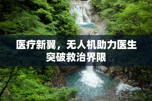 医疗新翼，无人机助力医生突破救治界限