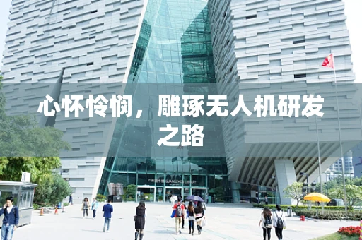 心怀怜悯，雕琢无人机研发之路