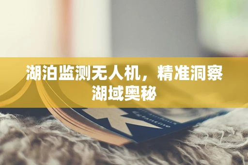 湖泊监测无人机，精准洞察湖域奥秘