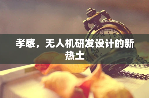 孝感，无人机研发设计的新热土