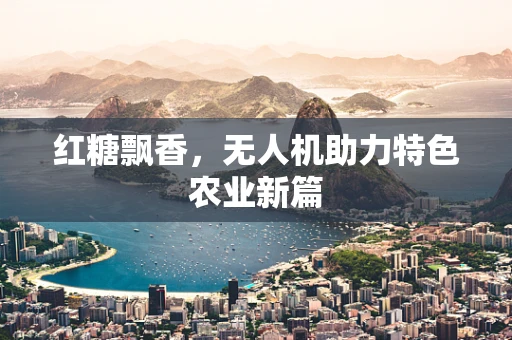 红糖飘香，无人机助力特色农业新篇