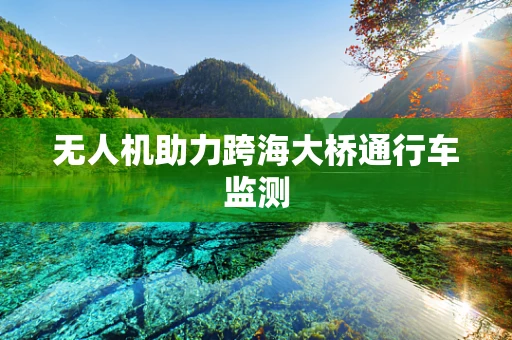 无人机助力跨海大桥通行车监测