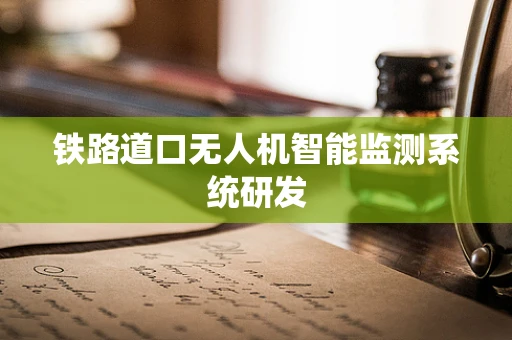 铁路道口无人机智能监测系统研发