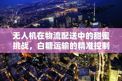 无人机在物流配送中的甜蜜挑战，白糖运输的精准控制