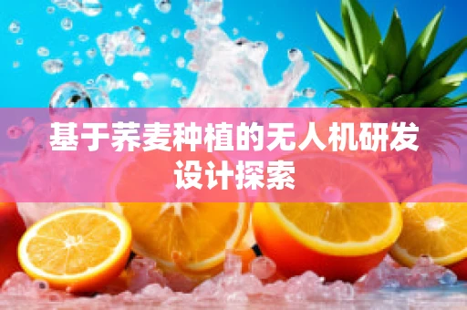 基于荞麦种植的无人机研发设计探索