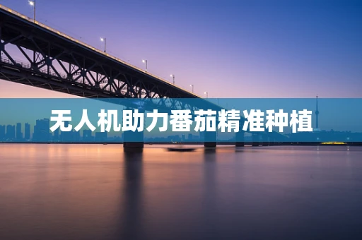 无人机助力番茄精准种植
