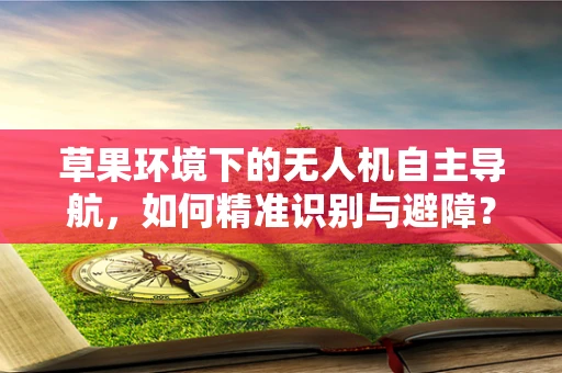 草果环境下的无人机自主导航，如何精准识别与避障？