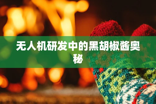 无人机研发中的黑胡椒酱奥秘