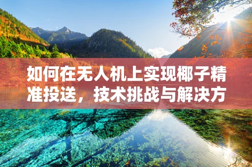 如何在无人机上实现椰子精准投送，技术挑战与解决方案？