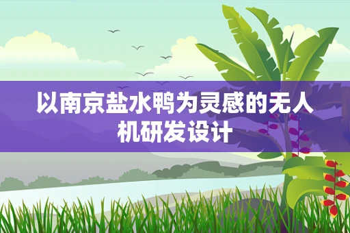 以南京盐水鸭为灵感的无人机研发设计