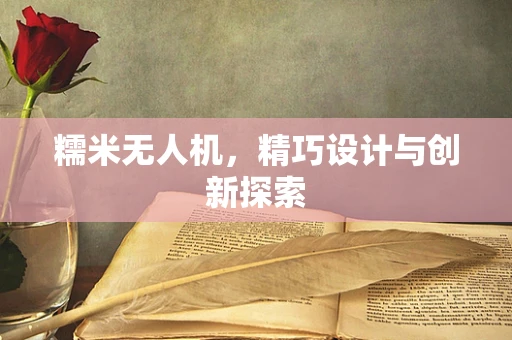 糯米无人机，精巧设计与创新探索