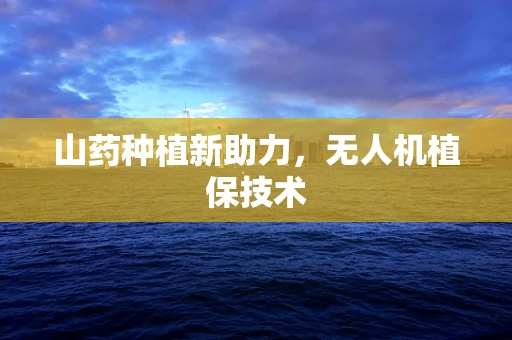 山药种植新助力，无人机植保技术
