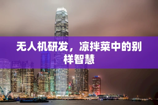 无人机研发，凉拌菜中的别样智慧