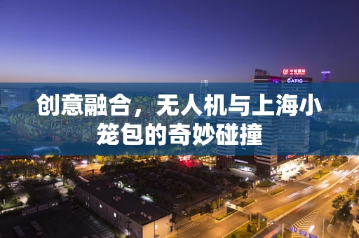 创意融合，无人机与上海小笼包的奇妙碰撞