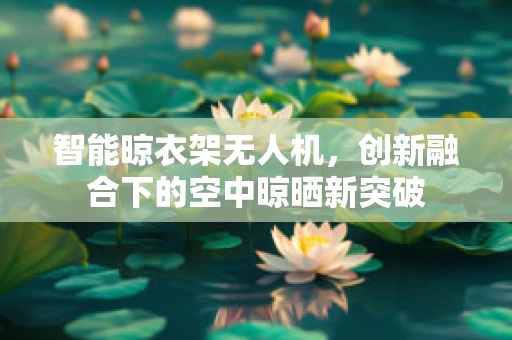 智能晾衣架无人机，创新融合下的空中晾晒新突破