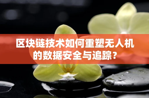 区块链技术如何重塑无人机的数据安全与追踪？