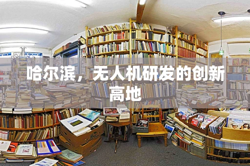 哈尔滨，无人机研发的创新高地