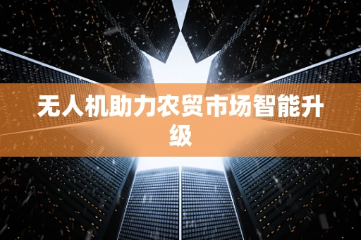 无人机助力农贸市场智能升级