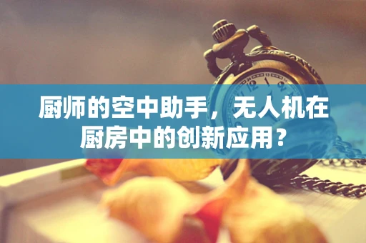 厨师的空中助手，无人机在厨房中的创新应用？