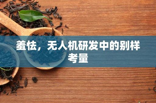 羞怯，无人机研发中的别样考量