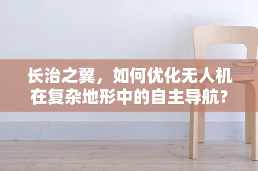 长治之翼，如何优化无人机在复杂地形中的自主导航？
