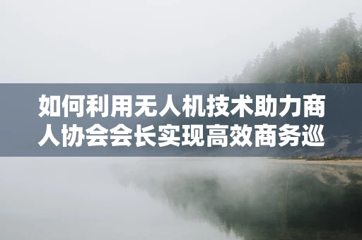 如何利用无人机技术助力商人协会会长实现高效商务巡查？