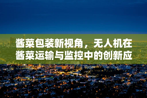 酱菜包装新视角，无人机在酱菜运输与监控中的创新应用