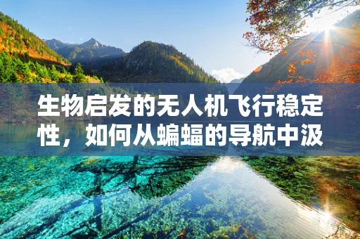 生物启发的无人机飞行稳定性，如何从蝙蝠的导航中汲取灵感？