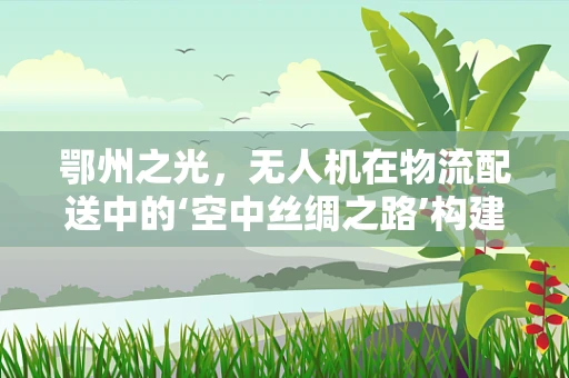 鄂州之光，无人机在物流配送中的‘空中丝绸之路’构建难题与解决方案