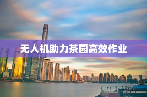 无人机助力茶园高效作业