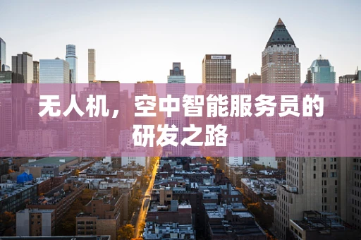 无人机，空中智能服务员的研发之路